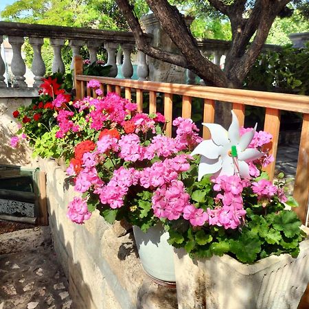Charmant Appart Avec Jardin Aigues-Mortes Exterior foto