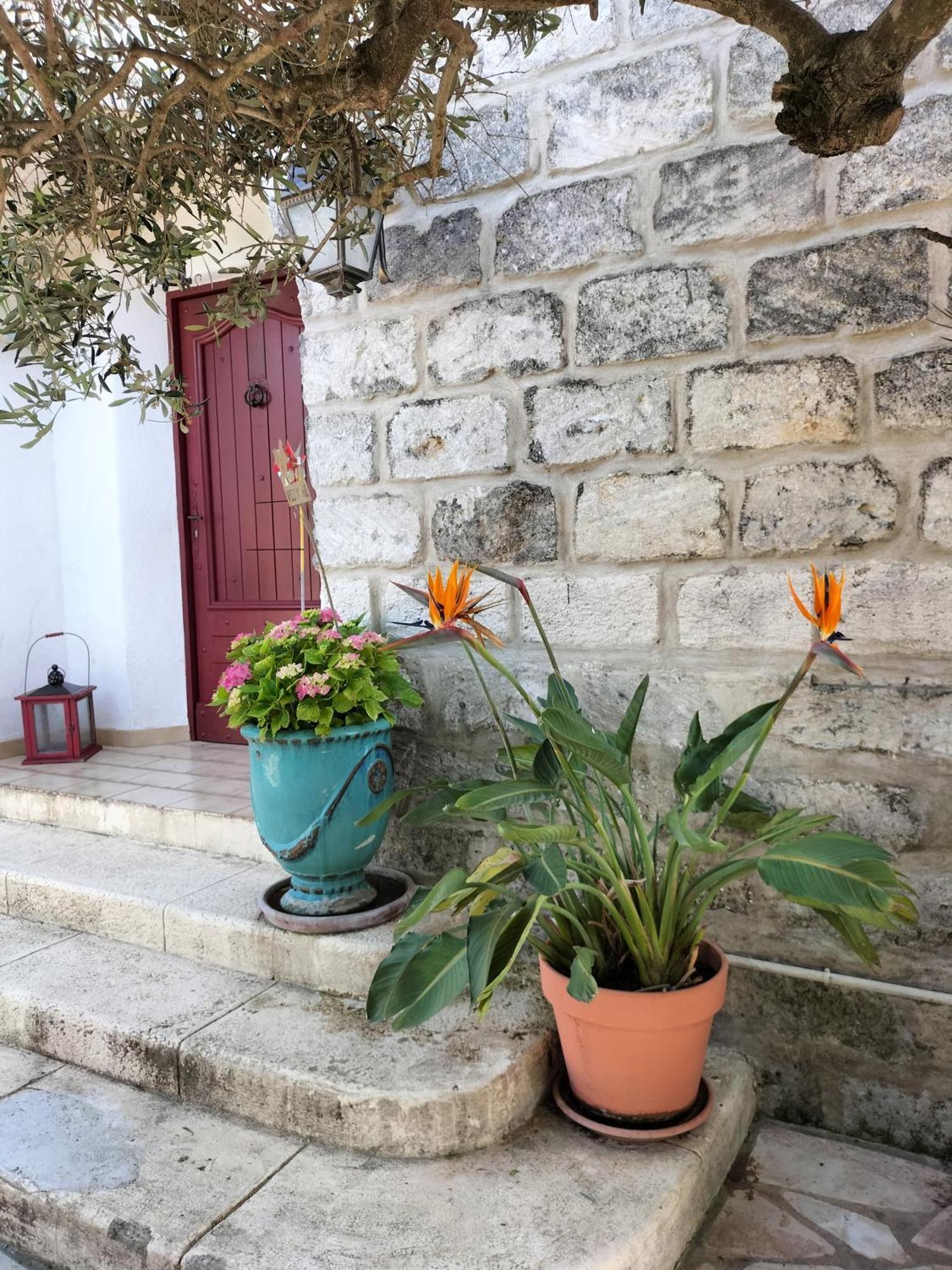 Charmant Appart Avec Jardin Aigues-Mortes Exterior foto
